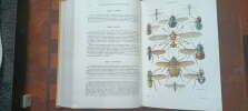Traité De Zoologie Anatomie, Systématique, Biologie.
 Insectes Supérieurs et Hémipteroïdes
Tome X (10) Premier fascicule . Grassé Pierre-Paul