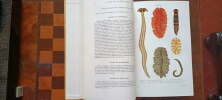 Traité De Zoologie anatomie, systématique, biologie 
Plathelminthes, mésozoaires, acanthocéphales, némertiens
Tome IV (4) Premier fascicule. Grassé ...