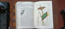 Traité de Zoologie. Anatomie, Systématique, Biologie :       Oiseaux
Tome XV (15). Grassé Pierre-Paul