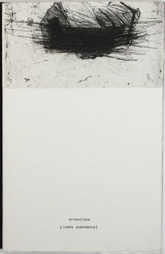 Attraction (corps suspendus). Person, Loïc (né en 1964)