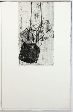 Attraction (corps suspendus). Person, Loïc (né en 1964)
