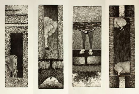 Ongulés. Caviedes, Pablo (né en 1971)