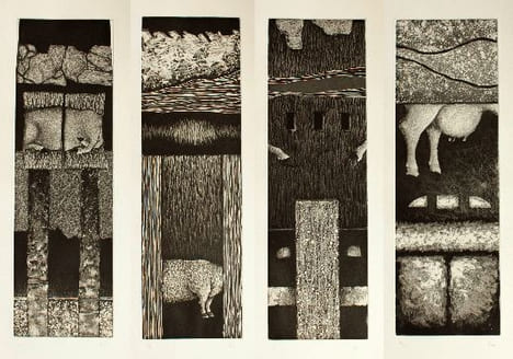 Ongulés. Caviedes, Pablo (né en 1971)