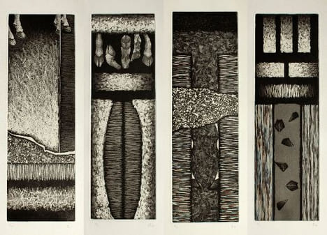 Ongulés. Caviedes, Pablo (né en 1971)