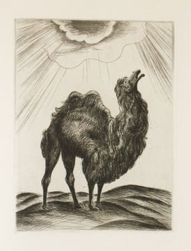 Les Fables d'Esope phrygien, enrichies de quatrains à la fin de chaque discours et de vingt gravures de André Collot. Esope - Collot, André (ill.)