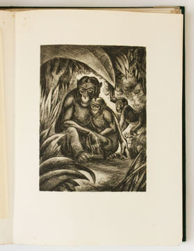 Les Fables d'Esope phrygien, enrichies de quatrains à la fin de chaque discours et de vingt gravures de André Collot. Esope - Collot, André (ill.)