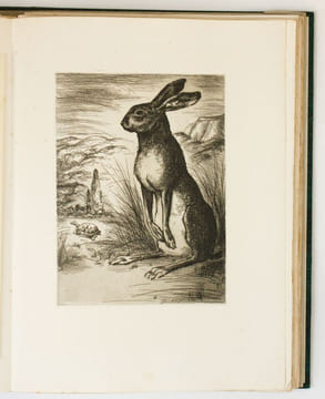 Les Fables d'Esope phrygien, enrichies de quatrains à la fin de chaque discours et de vingt gravures de André Collot. Esope - Collot, André (ill.)