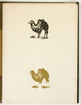 Les Fables d'Esope phrygien, enrichies de quatrains à la fin de chaque discours et de vingt gravures de André Collot. Esope - Collot, André (ill.)