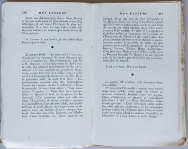 Mes cahiers. Tome V, mai 1906 - juillet 1907
