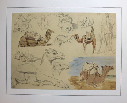 Vingt aquarelles et onze dessins reproduisant en fac-similé L'Album du Maroc, de la collection J. V.... Delacroix, Eugène