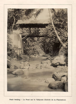 Plantation de Rubber "Pasir Oetjing" (Java). Compte-rendu général de la plantation pour l'exercice 1915. [Pasir Ucing]. d'Anthoine de Brunes, R. ; ...