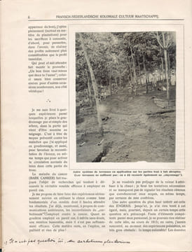 Plantation de Rubber "Pasir Oetjing" (Java). Compte-rendu général de la plantation pour l'exercice 1915. [Pasir Ucing]. d'Anthoine de Brunes, R. ; ...