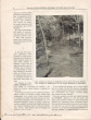 Plantation de Rubber "Pasir Oetjing" (Java). Compte-rendu général de la plantation pour l'exercice 1915. [Pasir Ucing]. d'Anthoine de Brunes, R. ; ...