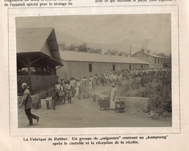 Plantation de Rubber "Pasir Oetjing" (Java). Compte-rendu général de la plantation pour l'exercice 1915. [Pasir Ucing]