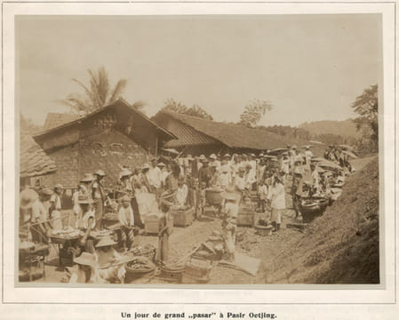 Plantation de Rubber "Pasir Oetjing" (Java). Compte-rendu général de la plantation pour l'exercice 1915. [Pasir Ucing]. d'Anthoine de Brunes, R. ; ...