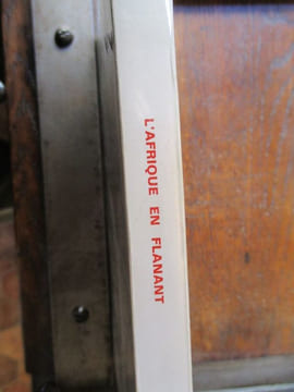 l'afrique en flanant de paris à tamanrasset. joret ( madeleine )