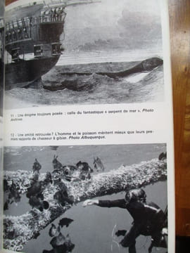 la planete océan. braud ( marcel )