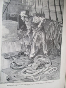 les chasseurs d'épaves