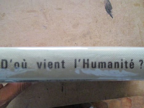d'ou vient l'humanité. collectif
