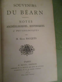 souvenirs du béarn notes archéologiques historiques et physiologique