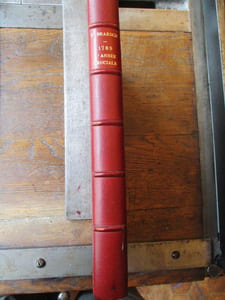 1789 l'année cruciale