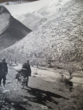 Algerie. Amrouche (Jean)