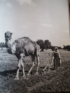 tunisie
