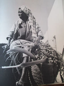 tunisie