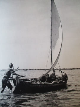 tunisie. hoppenot (helene)
