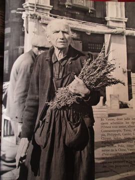 Venise à fleur d'eau. Roiter (Fulvio)