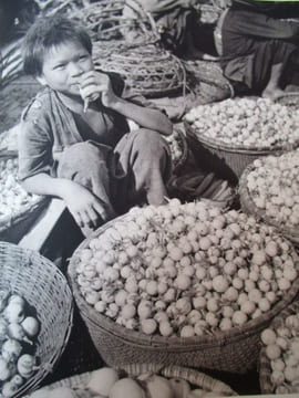 Viet Nam. collectif