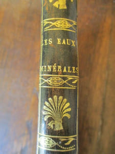 Mémoire sur les eaux minérales de Naples et sur les bains de vapeurs avec des dissertations pathologiques et pratiques sur le traitement de diverses maladies par leur moyen et par les eaux minérales en général
