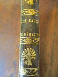 Mémoire sur les eaux minérales de Naples et sur les bains de vapeurs avec des dissertations pathologiques et pratiques sur le traitement de diverses maladies par leur moyen et par les eaux minérales en général