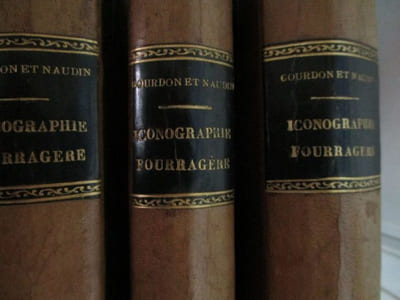 Nouvelle iconographie fourragère histoire botanique, économique et agricole des plantes fourragères et des plantes nuisibles qui se rencontrent dans les prairies et les paturages avec planches gravées sur cuivre et coloriées