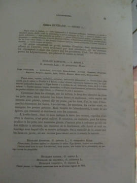Nouvelle iconographie fourragère histoire botanique, économique et agricole des plantes fourragères et des plantes nuisibles qui se rencontrent dans ...