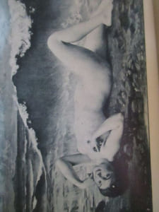 Le nu au salon de 1890