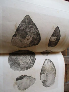 Rapport sur les découvertes faite par M. Savenkov dans la Sibérie Orientale lecture faite à l académie des sciences dans la séance du 27 février 1893. ...