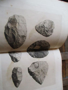 Rapport sur les découvertes faite par M. Savenkov dans la Sibérie Orientale lecture faite à l académie des sciences dans la séance du 27 février 1893. ...