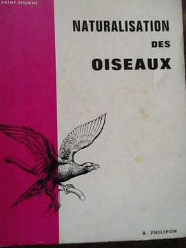Naturalisation des oiseaux. Philipon (A)