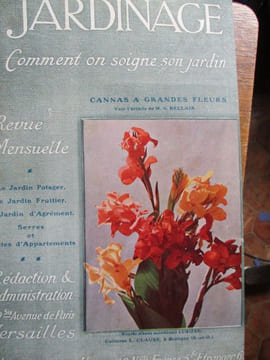 Jardinage comment on soigne son jardin. undefined