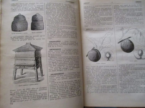 Dictionnaire encyclopédique de l'épicerie et des industries annexes. Seigneurie (A)