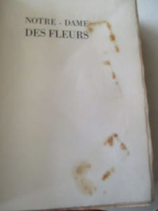 Notre Dame des fleurs