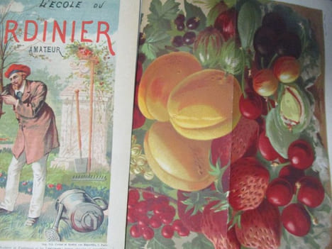 L'école du jardinier amateur fleuriste et potager notions élémentaires de botanique du sol et de ses ameliorations multiplication des plantes ...