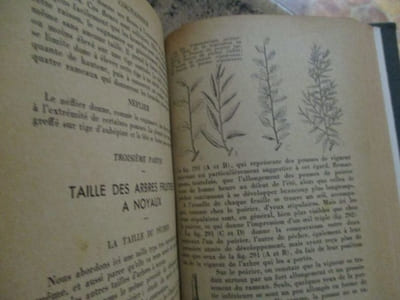 Comment on soigne son jardin