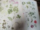 Flore complète illustrée en couleurs de France Suisse et Belgique comprenant la plupart des plantes d Europe. Bonnier (Gaston)