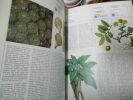Les plantes hallucinogènes -  botanique et ethnologie. Evans Schultes (Richard) Hofmann (Albert)
