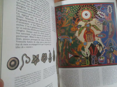 Les plantes hallucinogènes - botanique et ethnologie