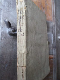 Histoire critique des coqueluchons