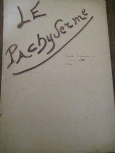 Le pachyderme