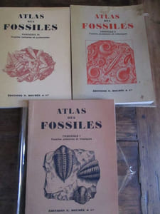 Atlas des fossiles 